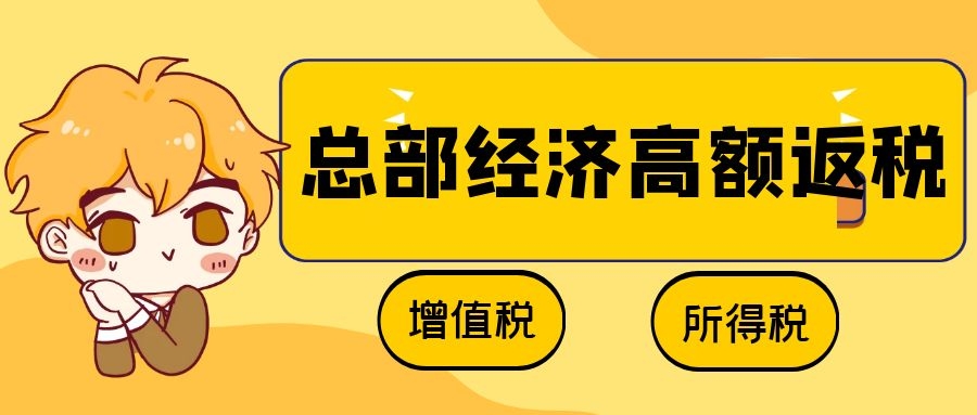 湖南国家级园区 国资控股 财政返还 即征即返！